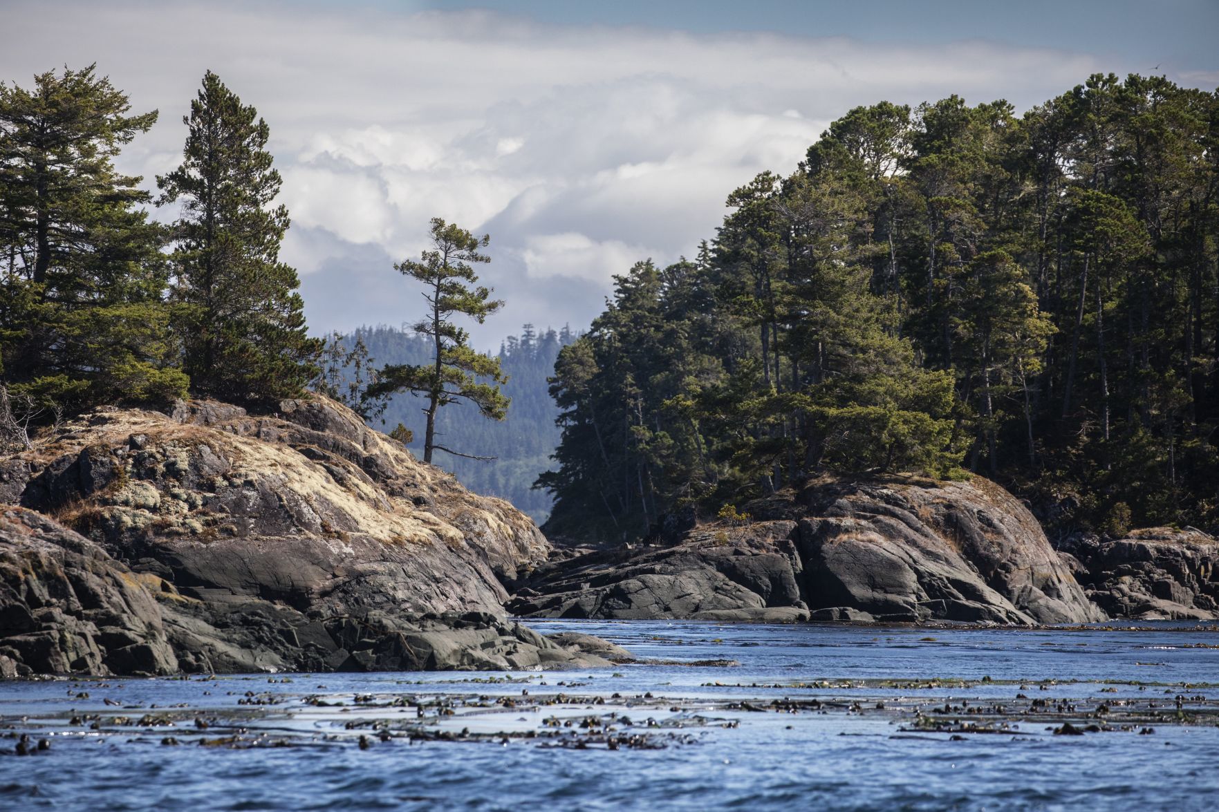 US-NEWS-ENV-ORCAS-5-SE